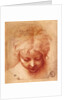 Study of a Head by Parmigianino