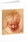 Study of a Head by Parmigianino