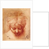 Study of a Head by Parmigianino