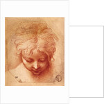 Study of a Head by Parmigianino