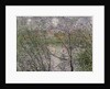 The Banks of the Seine or, Spring through the Trees, 1878 by Claude Monet