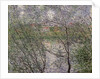 The Banks of the Seine or, Spring through the Trees, 1878 by Claude Monet