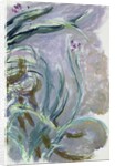 Iris, 1924-25 by Claude Monet