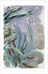 Iris, 1924-25 by Claude Monet