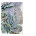 Iris, 1924-25 by Claude Monet