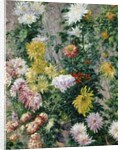 White and Yellow Chrysanthemums, 1893 by Gustave Caillebotte