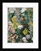 White and Yellow Chrysanthemums, 1893 by Gustave Caillebotte