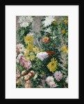 White and Yellow Chrysanthemums, 1893 by Gustave Caillebotte