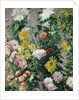 White and Yellow Chrysanthemums, 1893 by Gustave Caillebotte