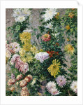 White and Yellow Chrysanthemums, 1893 by Gustave Caillebotte