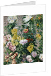 White and Yellow Chrysanthemums, 1893 by Gustave Caillebotte