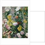 White and Yellow Chrysanthemums, 1893 by Gustave Caillebotte