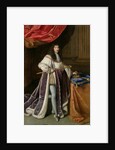 Portrait of Louis XIV by French School
