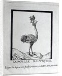 La Poulle d'Autriche by French School