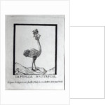 La Poulle d'Autriche by French School