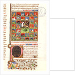 The Properties of Animals by French School