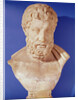 Bust of Metrodorus of Chios by Greek Greek