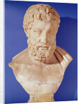 Bust of Metrodorus of Chios by Greek Greek