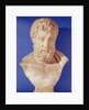 Bust of Metrodorus of Chios by Greek Greek