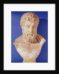 Bust of Metrodorus of Chios by Greek Greek
