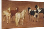 Study of Five Horses by Adam Frans van der Meulen