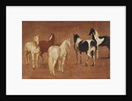 Study of Five Horses by Adam Frans van der Meulen