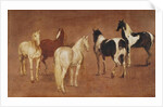 Study of Five Horses by Adam Frans van der Meulen