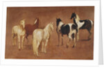 Study of Five Horses by Adam Frans van der Meulen