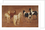 Study of Five Horses by Adam Frans van der Meulen