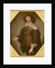 Portrait of a Man, c.1640 by Dutch School