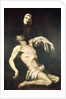 Descent from the Cross by Jusepe de (1591-1652) Ribera