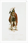 North American Indian by Cartias