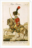 Officer of the Hussars of the Imperial Guard during the First Empire by French School