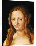 Adam and Eve, detail of Eve's head by Lucas the Elder Cranach