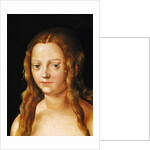 Adam and Eve, detail of Eve's head by Lucas the Elder Cranach