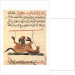 Operation on a horse by Islamic School