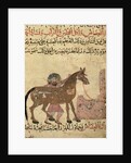 Caring for the horse by Islamic School
