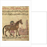 Caring for the horse by Islamic School