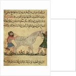 A veterinarian helping a mare to give birth by Islamic School