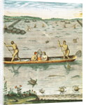 How the Indians Catch their Fish by John (after) White