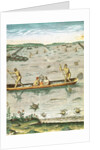 How the Indians Catch their Fish by John (after) White