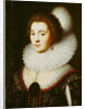 Amalia van Solms by Michiel Jansz. van Miereveld