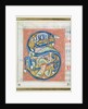 Historiated initial 'S' depicting an acrobat and fantastical animals by French School