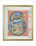 Historiated initial 'S' depicting an acrobat and fantastical animals by French School