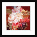 Flowers by Nicolaes van Veerendael