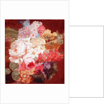 Flowers by Nicolaes van Veerendael