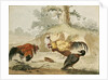 Cocks Fighting by Melchior de Hondecoeter