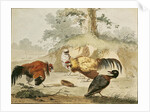 Cocks Fighting by Melchior de Hondecoeter