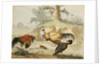 Cocks Fighting by Melchior de Hondecoeter