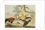 Cocks Fighting by Melchior de Hondecoeter